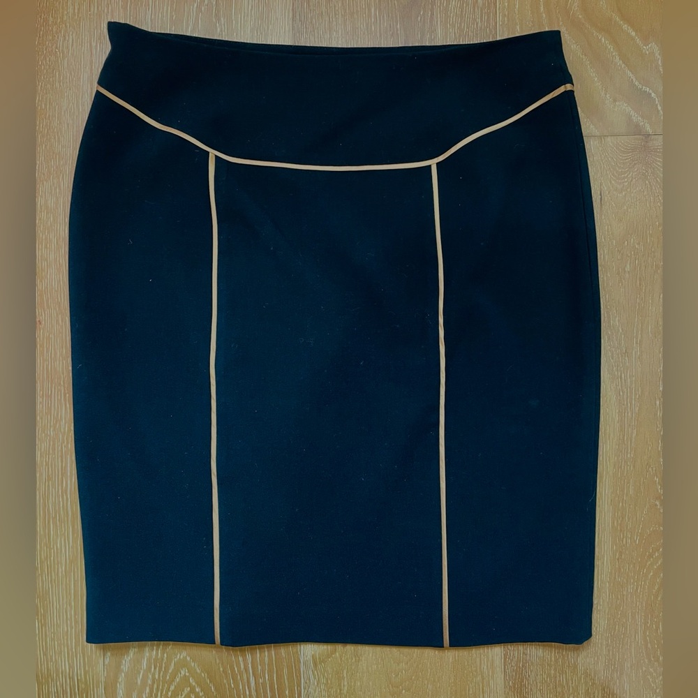 Adrianna Papell Pencil Skirt with Beautiful Piping - Size 8